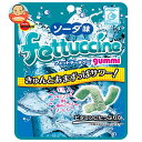 ブルボン フェットチーネグミ ソーダ味 50g×10個入×(2ケース)| 送料無料 お菓子 おやつ グミ ソーダ