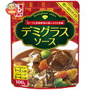 イカリソース デミグラスソース 100g×10本入| 送料無料 一般食品 調味料 ソース デミグラス
