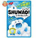 ノーベル製菓 SHUWAO!!(シュワオ) ソーダ 30g×6個入×(2ケース)| 送料無料 お菓子 ソフトキャンデー ソーダ 袋