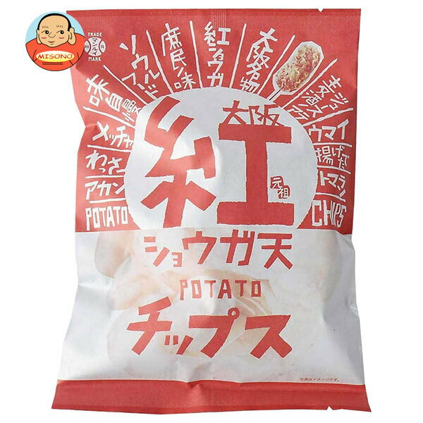 アイデアパッケージ 大阪 紅ショウガ天 ポテトチップス 100g×5袋入｜ 送料無料 お菓子 おやつ スナック菓子 ポテチのサムネイル