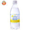 富永貿易 神戸居留地 天然水でつくった炭酸水 レモン 500mlペットボトル×24本入| 送料無料 炭酸水 天然水 ソーダ レモン 割り材 スパークリング