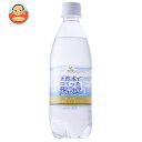 富永貿易 神戸居留地 天然水でつくった炭酸水 500mlペットボトル×24本入×(2ケース)| 送料無料 炭酸水 天然水 ソーダ 割り材 スパークリング