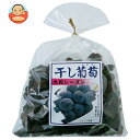 ナガトク 干し葡萄 大粒レーズン 370g×5袋入| 送料無料 乾燥果実 ドライフルーツ レーズン ぶどう ブドウ