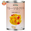 カンピー フルーツカクテル 420g缶×24個入×(2ケース)| 送料無料 缶詰 かんづめ フルーツ 果実 くだもの