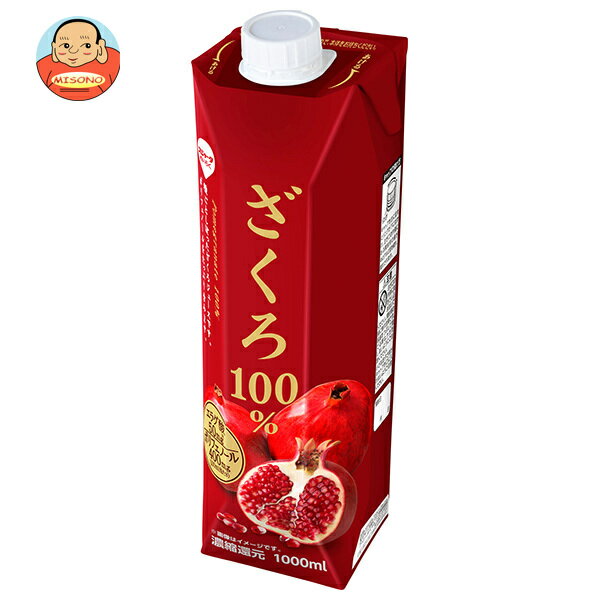 [ポイント5倍！8/11(日)1時59分まで全品対象エントリー&購入]スジャータ ざくろ100% 1000ml紙パック×6本入｜ 送料無料 果実 ザクロ 100% ジュース 濃縮還元のサムネイル