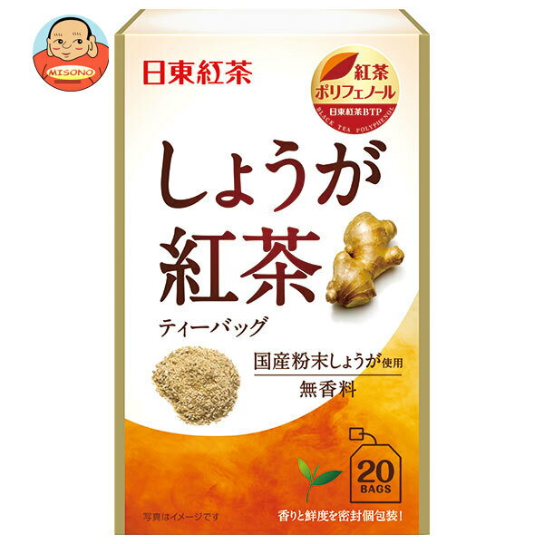 [ポイント5倍！11/11(月)1時59分まで全品対象エントリー&購入]三井農林 日東紅茶 しょうが紅茶 2.2g×20袋×48袋入｜ 送料無料 紅茶 嗜好品 生姜のサムネイル