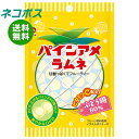 【全国送料無料】【ネコポス】パイン パインアメラムネ 25g×10袋入| ラムネ お菓子 パインアメ パイン