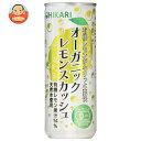 光食品 オーガニックレモンスカッシュ 250ml缶×30本入×(2ケース)| 送料無料 炭酸飲料 フルーツ 缶 檸檬 れもん