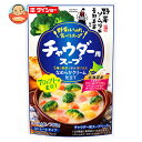 ダイショー 野菜ソムリエ青野果菜監修 野菜をいっぱい食べるスープ チャウダー用スープ 750g×10袋入×(2ケース)| 送料無料 一般食品 調味料 鍋スープ ...