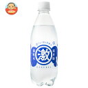 友桝飲料 ハクレイ激炭酸激軟水 500mlペットボトル×24本入×(2ケース)| 送料無料 炭酸飲料 炭酸水 ソーダ PET 割り材 プレーン