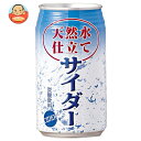 JAビバレッジ佐賀 天然水仕立て サイダー 350ml缶×24本入| 送料無料 サイダー 炭酸 炭酸飲料 天然水 缶