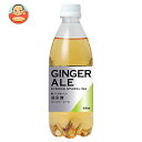 友桝飲料 ジンジャーエール 500mlペットボトル×24本入| 送料無料 炭酸 強炭酸 ジンジャー ショウガ しょうが 割り材