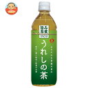 JAビバレッジ佐賀 うれしの茶 500mlペットボトル×24本入×(2ケース)| 送料無料 茶飲料 緑茶 PET