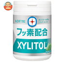 ロッテ キシリトールガム +フッ素 ペパーミント スリムボトル 125g×6個入×(2ケース)| 送料無料 お菓子 ガム ボトル フッ素