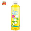 伊藤園 リラックスジャスミンティー 【自動販売機用】 460mlペットボトル×30本入×(2ケース)| 送料無料 ジャスミン茶 伊藤園 ジャスミンティー お茶 ...