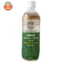 成城石井 ジンジャーエール 500mlペットボトル×24本入×(2ケース)| 送料無料 炭酸 ジンジャエール ショウガ 生姜