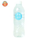 友桝飲料 蛍の郷の天然水 500mlペットボトル×24本入×(2ケース)| 送料無料 ホタルの里 天然水 ミネラルウオーター