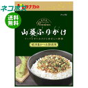 ネコポス 田中食品 プレミアム 山葵ふりかけ 25g×10袋入| 全国送料無料 チャック袋 調味料 かつお使用 わさび