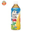 サーフビバレッジ とうもろこしのおいしいひげ茶 500mlペットボトル×24本入| 送料無料 食物繊維 玄米 カフェインレス ノンカフェイン