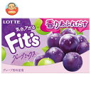 ロッテ Fit’s グレープミックス 12枚×10個入×(2ケース)| 送料無料 お菓子 ガム フィッツ ぶどう 葡萄 ブドウ