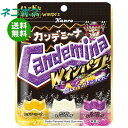 ネコポス カンロ カンデミーナグミ Wインパクト 72g×6袋入| 全国送料無料 お菓子 袋 エナジーソーダ 弾力 グミ