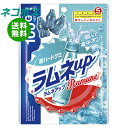 ネコポス 明治 ラムネアップ 100g×6袋入| 全国送料無料 グミ ラムネ ハードグミ