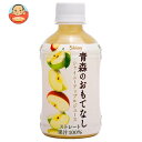 青森県りんごジュース シャイニー 青森のおもてなし 280mlペットボトル×24本入×(2ケース)| 送料無料 果実飲料 アップル りんご 果汁100% PET
