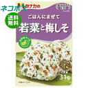 ネコポス 田中食品 ごはんにまぜて 若菜と梅しそ 31g×10袋入| 全国送料無料 ふりかけ チャック袋 調味料 まぜごはんの素