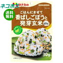 ネコポス 田中食品 ごはんにまぜて 香ばしごぼうと発芽玄米 30g×10袋入| 全国送料無料 ふりかけ チャック袋 調味料 まぜごはんの素