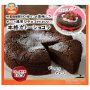 共立食品 本格ガトーショコラキット 170g×5袋入| 送料無料 袋 製菓材料 菓子材料 ガトーショコラ