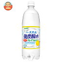 サンガリア 伊賀の天然水 強炭酸水 グレープフルーツ 1Lペットボトル×12本入| 送料無料 炭酸飲料 炭酸水 ソーダ PET