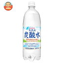 サンガリア 伊賀の天然水 炭酸水 1Lペットボトル×12本入×(2ケース)| 送料無料 炭酸水 炭酸 ソーダ 割り材 天然水 スパークリング