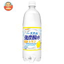 サンガリア 伊賀の天然水 強炭酸水 レモン 1Lペットボトル×12本入| 送料無料 炭酸飲料 炭酸水 強炭酸 PET