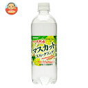 サンガリア 伊賀の天然水 マスカットスパークリング 500mlペットボトル×24本入| 送料無料 マスカット ぶどう ブドウ 炭酸 炭酸水