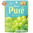 カンロ ピュレグミ マスカット 56g×6袋入×(2ケース)| 送料無料 お菓子 ビタミンC Pure 袋
