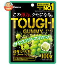 カバヤ タフグミ バウンシーマスカット 100g×6袋入×(2ケース)| 送料無料 お菓子 グミ 袋 TOUGH 高弾力 マスカット
