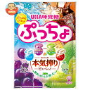 UHA味覚糖 ぷっちょ袋 4種アソート 88g×6個入×(2ケース)| 送料無料 お菓子 ソフトキャンディ アソート フルーツ