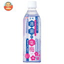 サンA 満潮の塩梅 490mlペットボトル×24本入| 送料無料 清涼飲料水 塩 梅風味 PET
