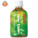 サンA 宮崎緑茶 280mlペットボトル×24本入×(2ケース)| 送料無料 緑茶 PET お茶(4)