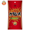 コイケヤ スリムバッグシリーズ スティックカラムーチョ ホットチリ味 34g×12(6×2)袋入| 送料無料 お菓子 スナック菓子 スリムバッグシリーズ