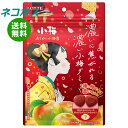 【全国送料無料】【ネコポス】ロッテ あじわい小梅グミ 30g×10袋入| お菓子 おやつ 飴 キャンディ グミ(4)