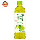 サントリー 緑茶 伊右衛門(いえもん)【手売り用】 600mlペットボトル×24本入×(2ケース)| 送料無料 お茶 茶飲料 緑茶 イエモン