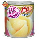 はごろもフーズ 甘みあっさり白桃 295g缶×24個入×(2ケース)| 送料無料 缶詰 フルーツ 果物 もも ピーチ