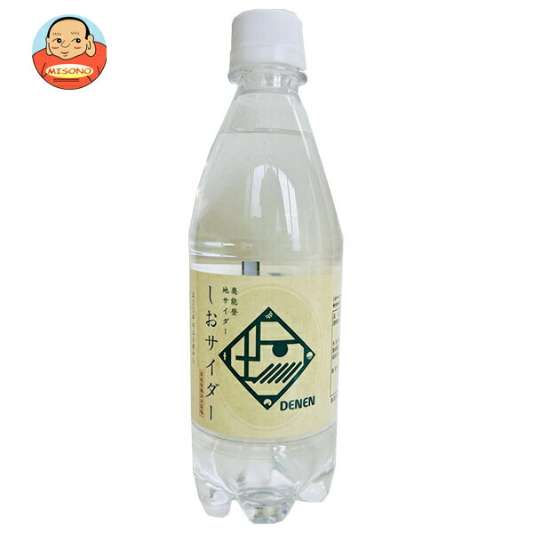 Ante(アンテ) 奥能登地サイダー しおサイダー 500mlPET×24本入｜ 送料無料 炭酸 サイダー しお 塩