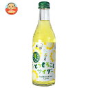 木村飲料 とうもろこしサイダー 240ml瓶×20本入×(2ケース)| 送料無料 炭酸飲料 サイダー 果汁 瓶