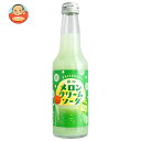 木村飲料 静岡メロンクリームソーダ 250ml瓶×24本入×(2ケース)| 送料無料 炭酸 ソーダ サイダー メロン