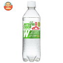 アサヒ飲料 三ツ矢サイダー W(ダブル)【特定保健用食品 特保】 485mlペットボトル×24本入| 送料無料 炭酸飲料 ゼロ系 特保 血糖値 中性脂肪