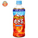 伊藤園 健康ミネラルむぎ茶 (冷凍兼用ボトル) 485mlペットボトル×24本入×(2ケース)| 送料無料 お茶飲料 PET 氷結飲料 冷凍ボトル 麦茶