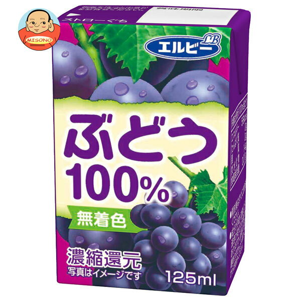 エルビー ぶどう100% 125ml紙パック×30本入×(2ケース)｜ 送料無料 ぶどうジュース グレープジュース 紙パック 果汁 ジュース