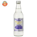 川崎飲料 横浜サイダー プレミアムクリア 340ml瓶×24本入×(2ケース)| 送料無料 炭酸 スパークリング ソーダ サイダー